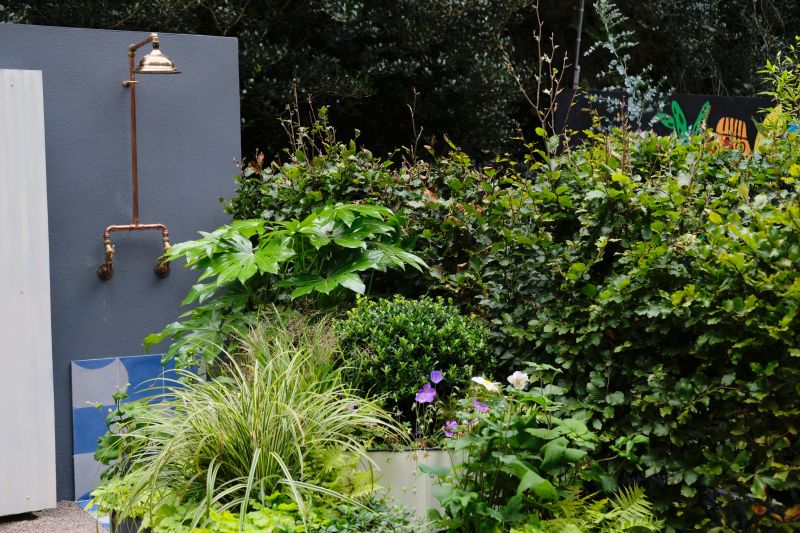 Licensed Plumbing Experts